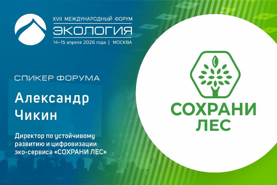 Эко-инициативы вне «серой» зоны: как легализовать климатические проекты и сделать их измеримыми