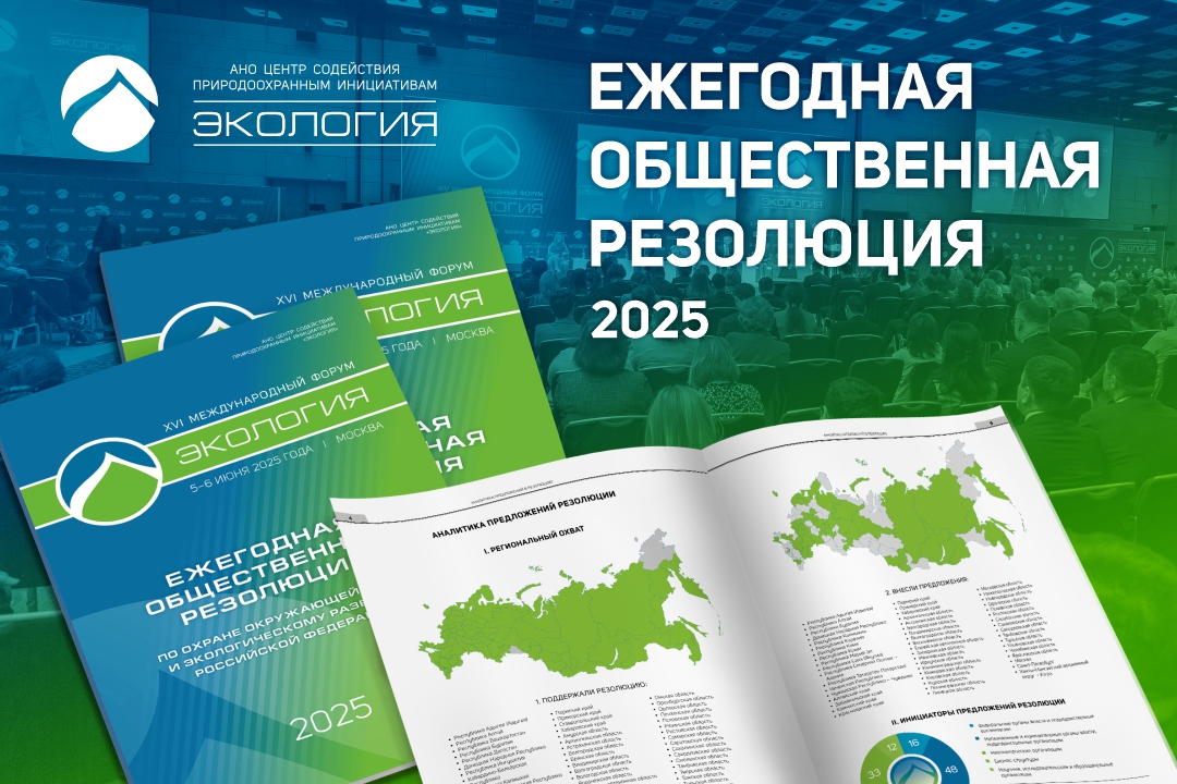 В России могут усовершенствоваться инструменты для защиты природы