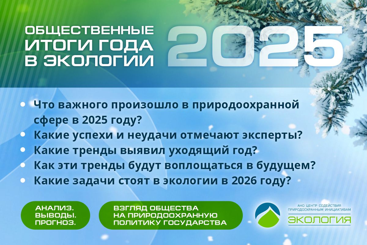 АНО «Экология» вместе с экспертами подвела общественные итоги 2025 года в экологии